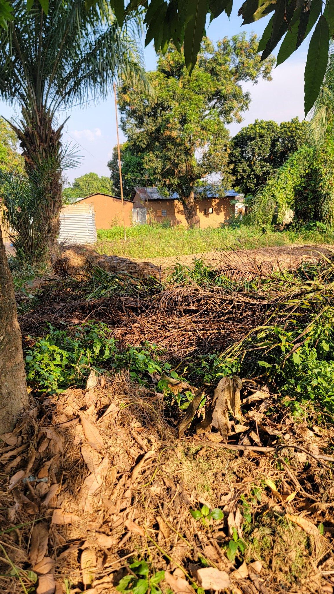 🏡 Terrain à Vendre – PK11 (Ngola) 🌿