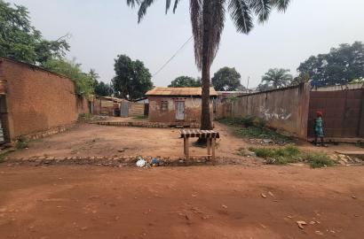 🏡 Terrain à Vendre – Malimaka 🌿