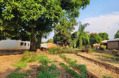 🏡 Terrain à Vendre – PK11 (Ngola) 🌿