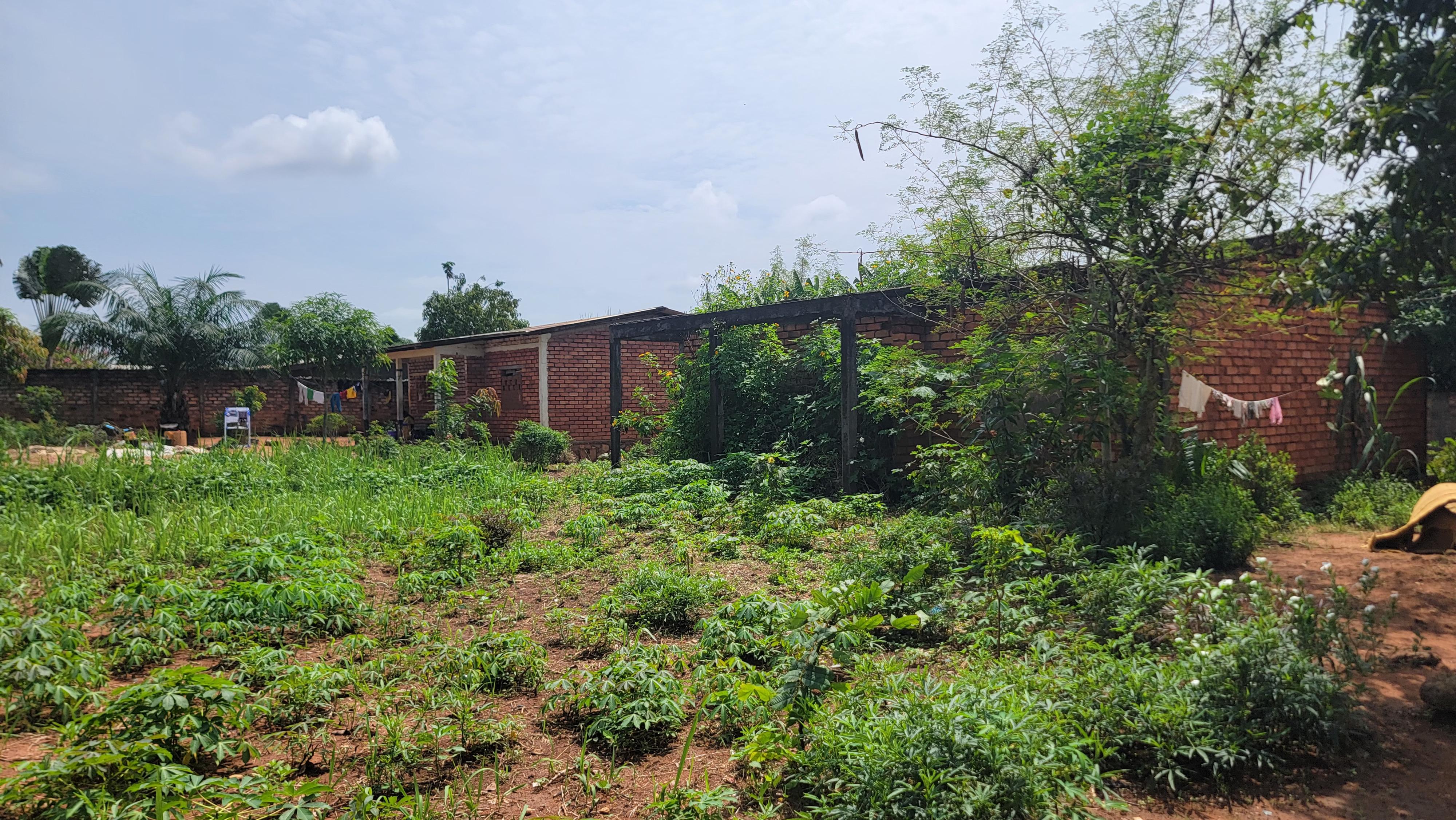 Maisons à Vendre à Gbangouma
