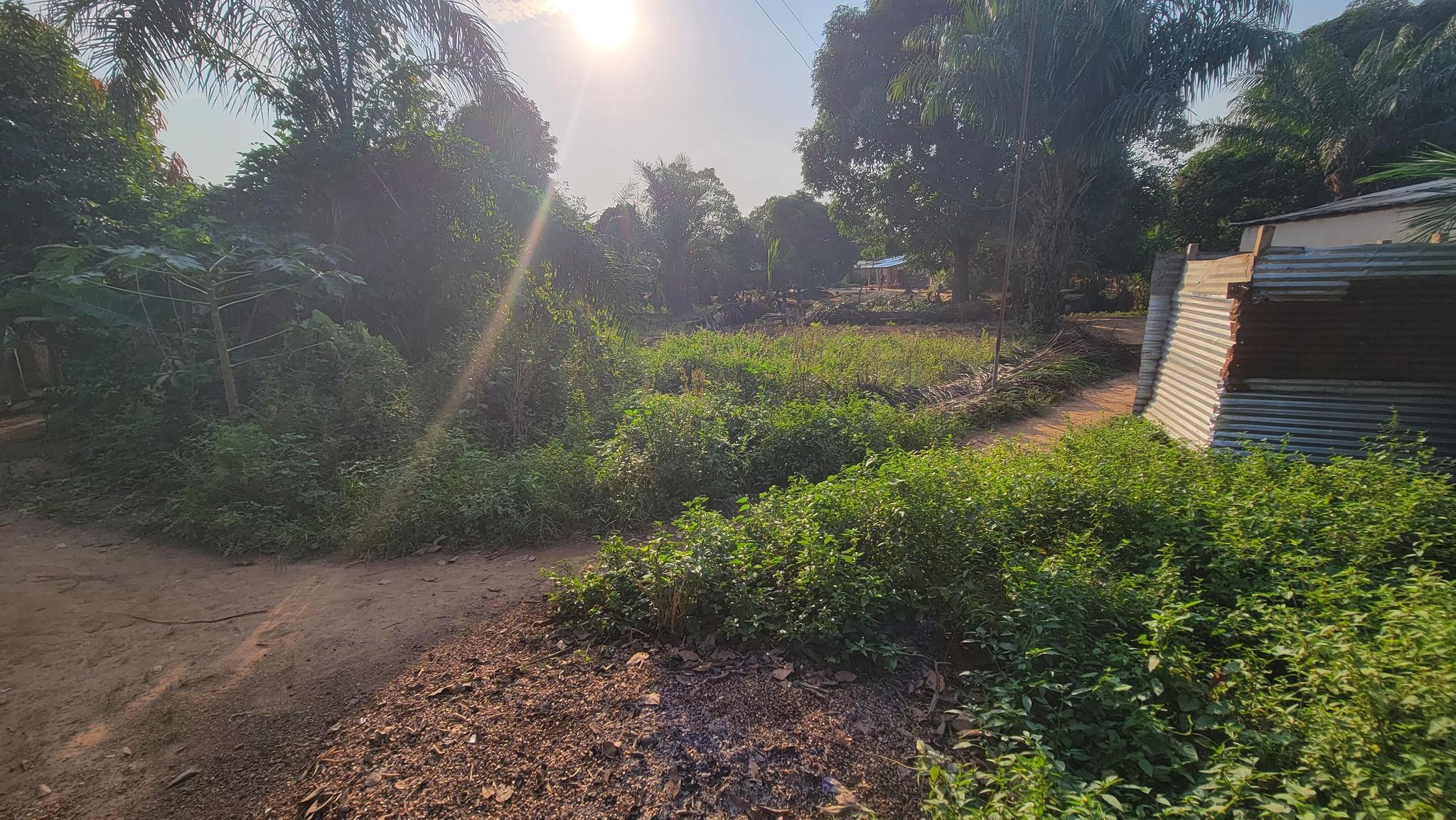 🏡 Terrain à Vendre – PK11 (Ngola) 🌿