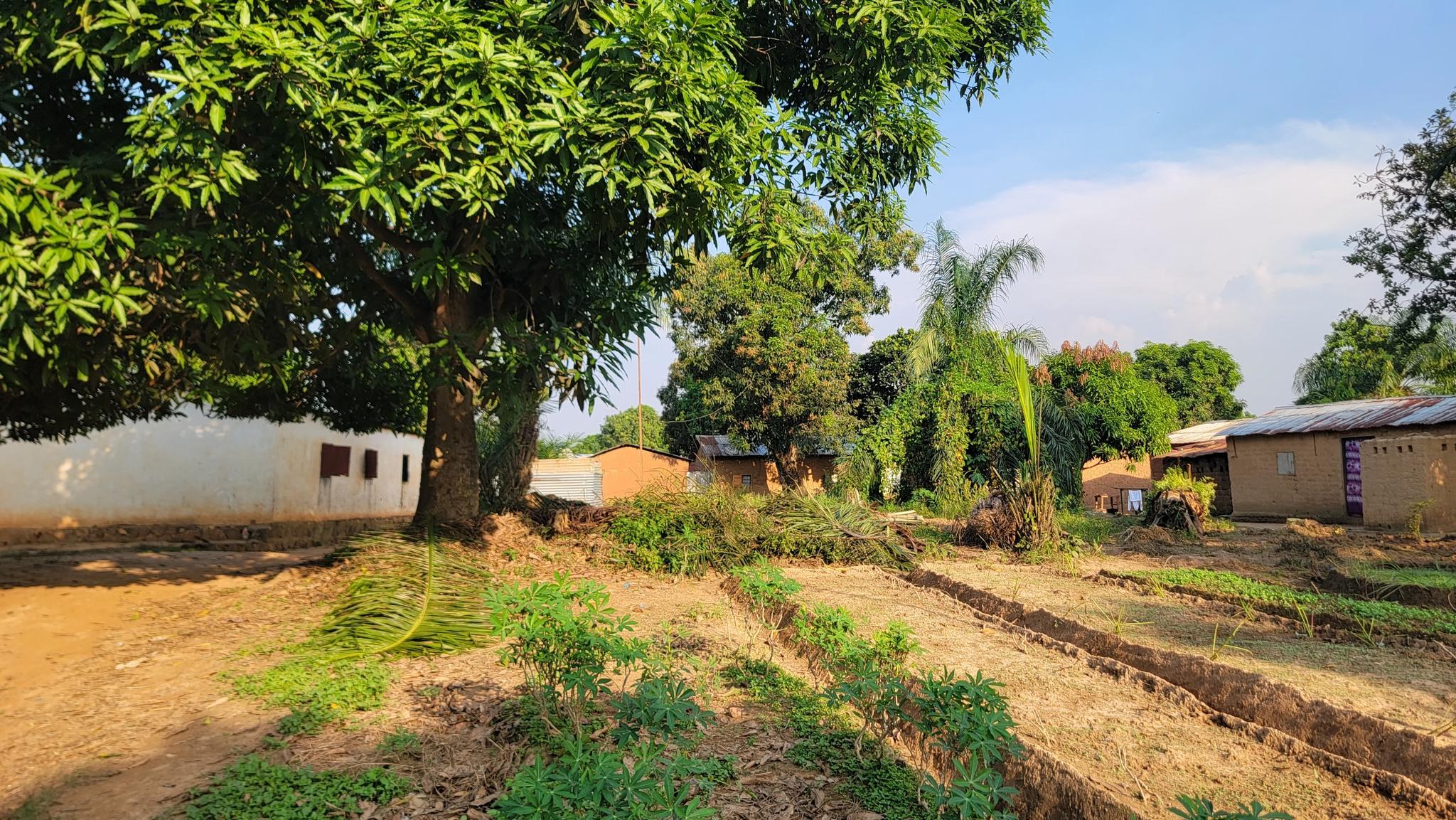 🏡 Terrain à Vendre – PK11 (Ngola) 🌿